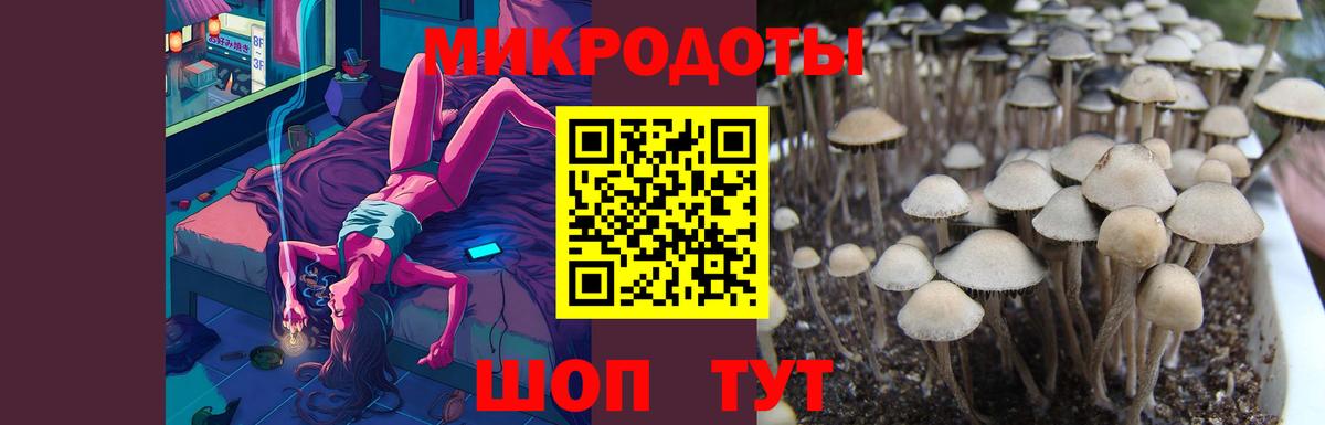 Псилоцибиновые грибы мухоморы Гурьевск